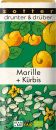 Zotter Marille + Kürbiskern • Bio+Fair • »drunter & drüber«